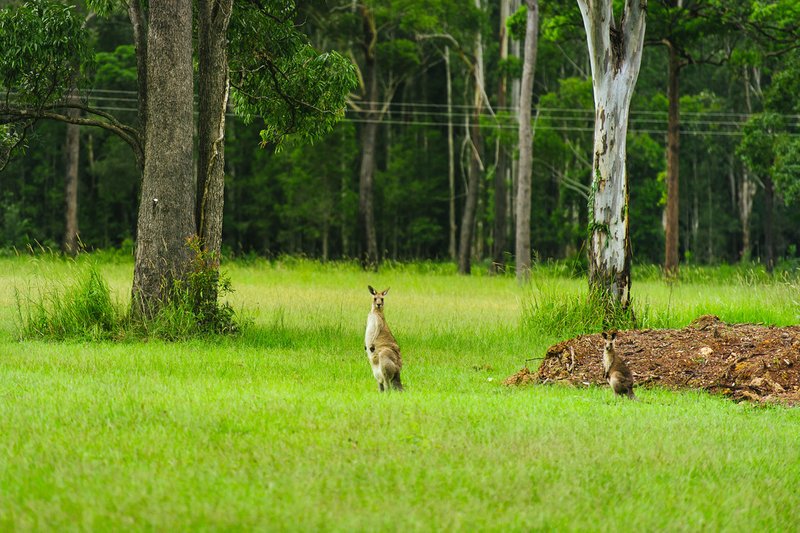 Photo - 3/165 John Oxley Drive, Port Macquarie NSW 2444 - Image 8