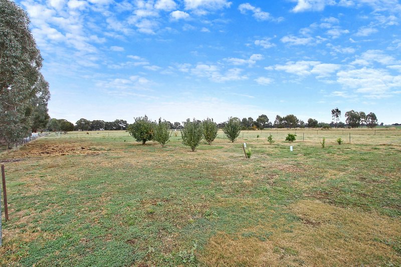 Photo - 3168 Olympic Highway, Culcairn NSW 2660 - Image 6