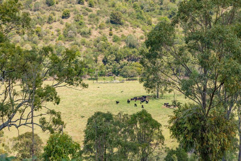 Photo - 3169 Esk Kilcoy Road, Hazeldean QLD 4515 - Image 3