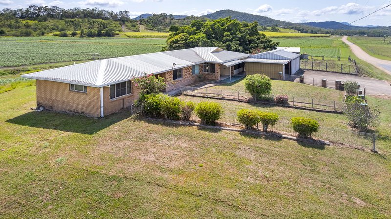 Photo - 317 Kochs Road, The Leap QLD 4740 - Image 29