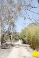 Photo - 317 Macs Reef Road, Bywong NSW 2621 - Image 33