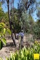 Photo - 317 Macs Reef Road, Bywong NSW 2621 - Image 35