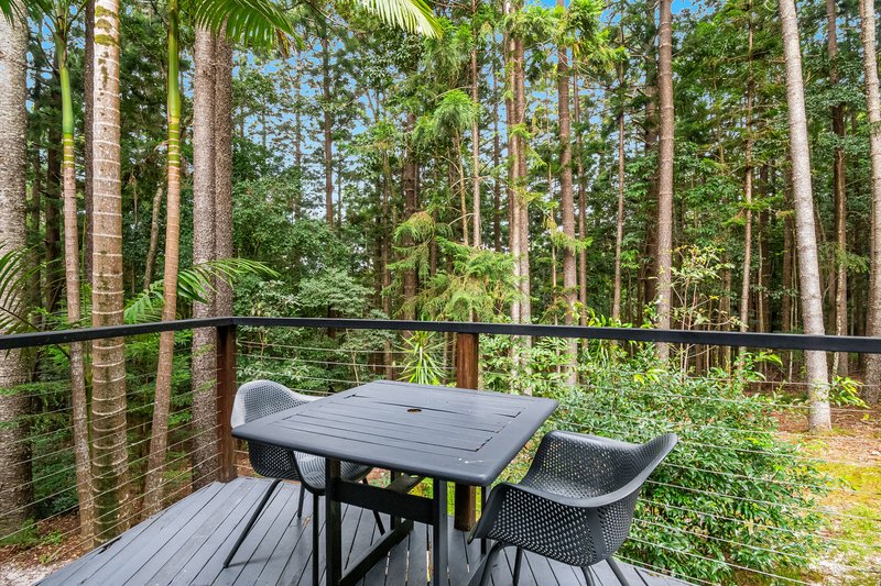 Photo - 317 Skinners Shoot Road, Byron Bay NSW 2481 - Image 11