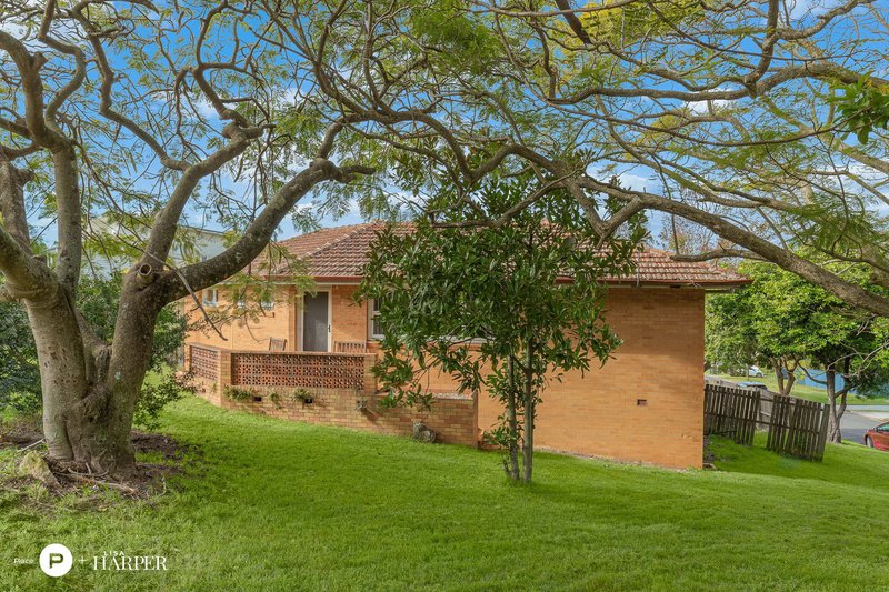 Photo - 317 Wynnum North Road, Wynnum QLD 4178 - Image 12