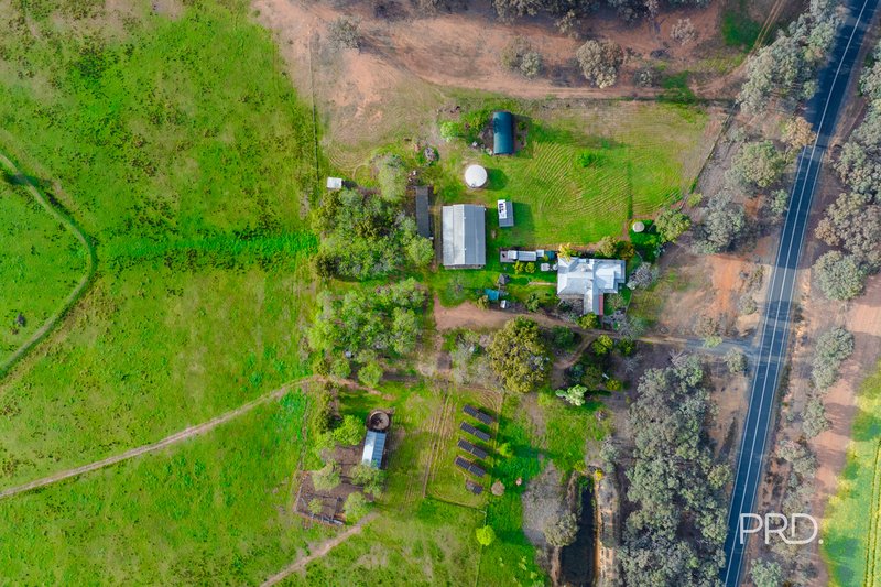 Photo - 3174 Holbrook Road, Mangoplah NSW 2652 - Image 3
