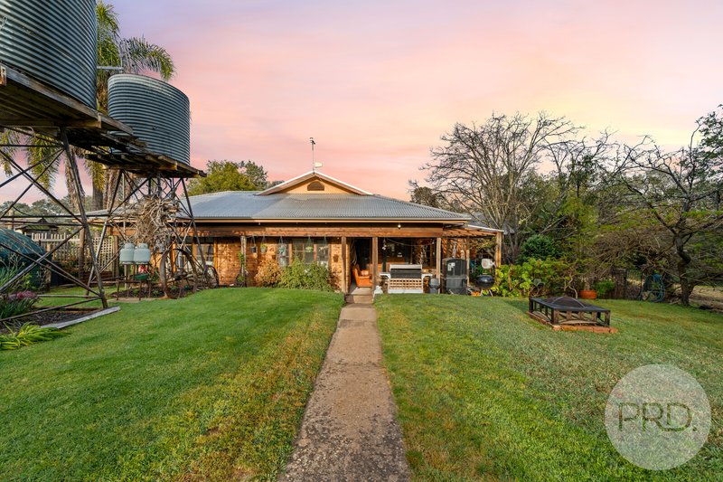 Photo - 3174 Holbrook Road, Mangoplah NSW 2652 - Image 20
