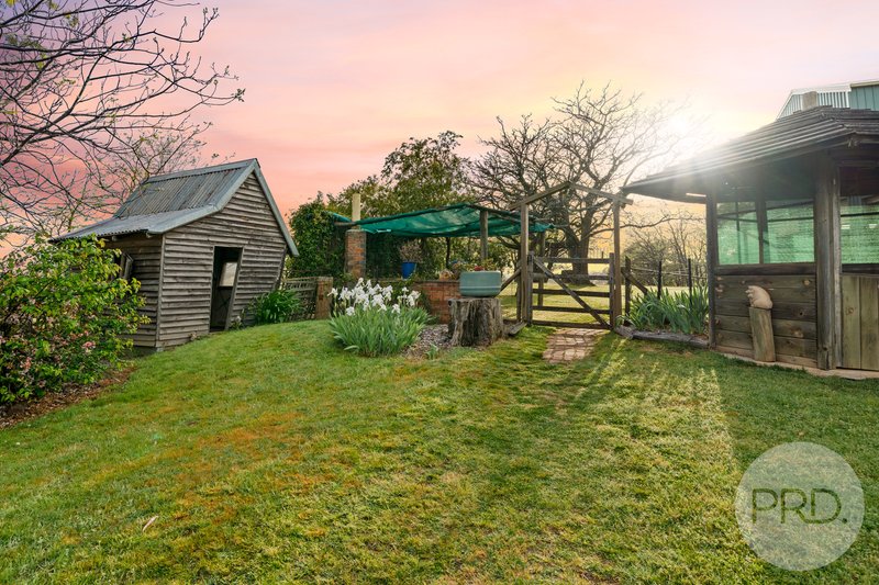 Photo - 3174 Holbrook Road, Mangoplah NSW 2652 - Image 21