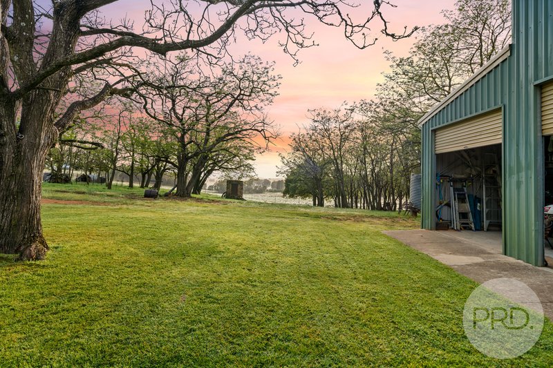 Photo - 3174 Holbrook Road, Mangoplah NSW 2652 - Image 23