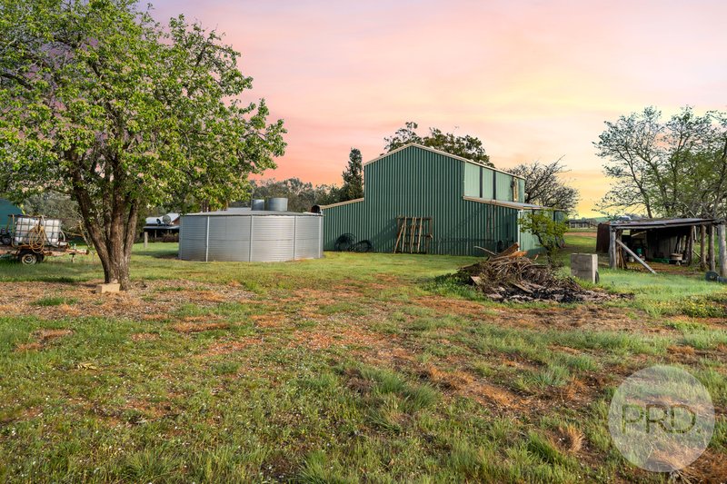 Photo - 3174 Holbrook Road, Mangoplah NSW 2652 - Image 26