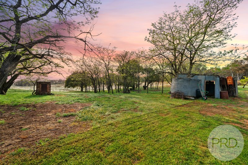 Photo - 3174 Holbrook Road, Mangoplah NSW 2652 - Image 27