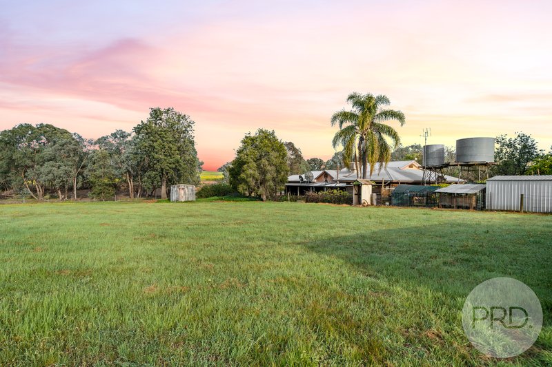 Photo - 3174 Holbrook Road, Mangoplah NSW 2652 - Image 29