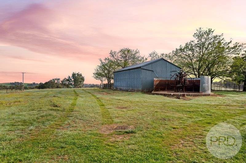 Photo - 3174 Holbrook Road, Mangoplah NSW 2652 - Image 30