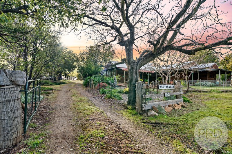 Photo - 3174 Holbrook Road, Mangoplah NSW 2652 - Image 31
