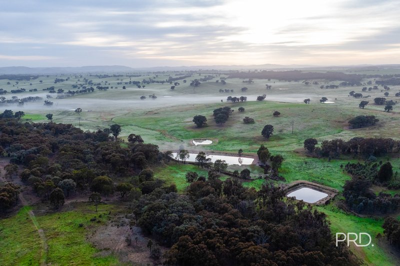 Photo - 3174 Holbrook Road, Mangoplah NSW 2652 - Image 34