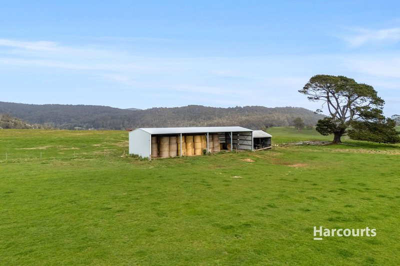 Photo - 31817 Tasman Highway, Derby TAS 7264 - Image 19