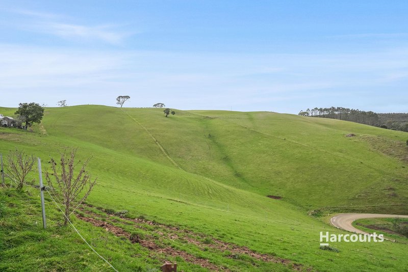 Photo - 31817 Tasman Highway, Derby TAS 7264 - Image 25