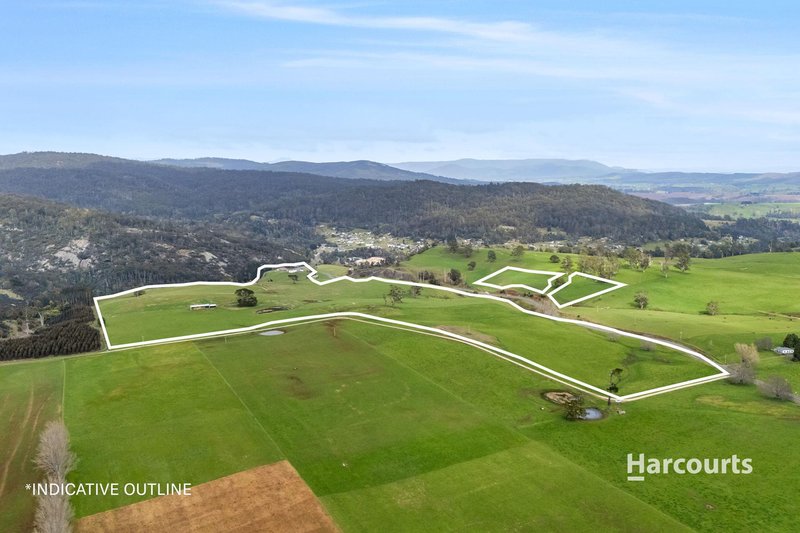 Photo - 31817 Tasman Highway, Derby TAS 7264 - Image 27
