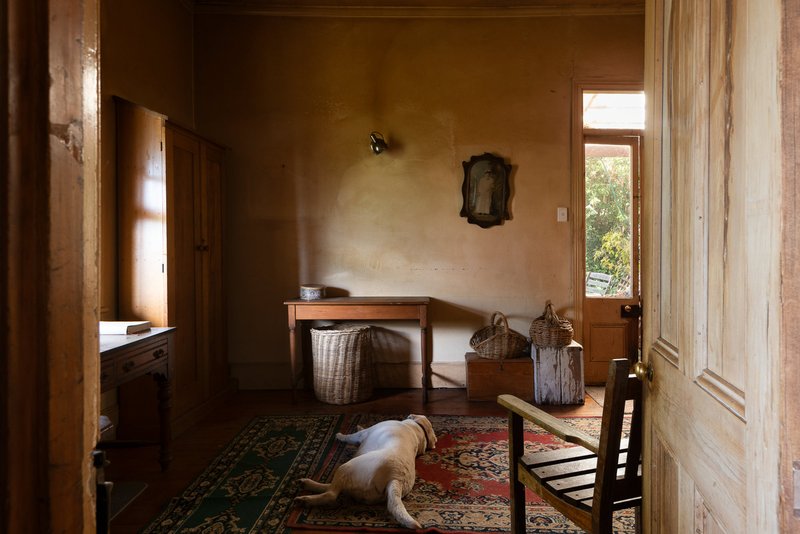 Photo - 319 Brisbane Street, West Launceston TAS 7250 - Image 5