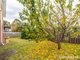 Photo - 3/19 Garnett Street, Blackmans Bay TAS 7052 - Image 23