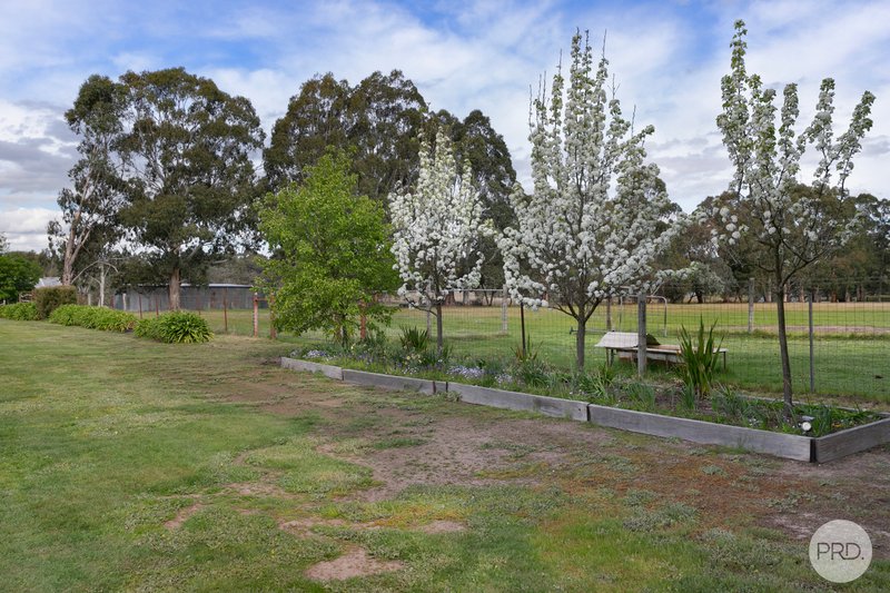Photo - 319 Haddon School Road, Haddon VIC 3351 - Image 20