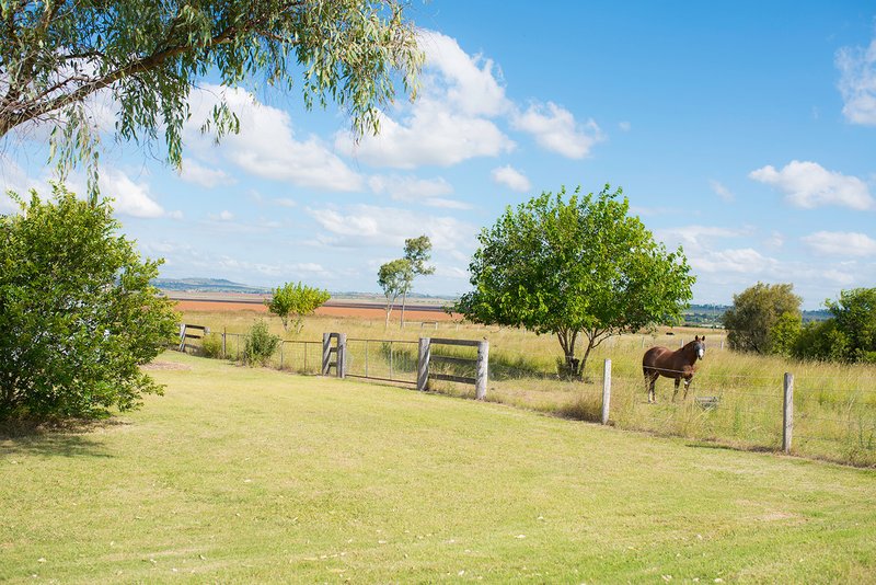 Photo - 319 Wyreema Cambooya Road, Cambooya QLD 4358 - Image 17