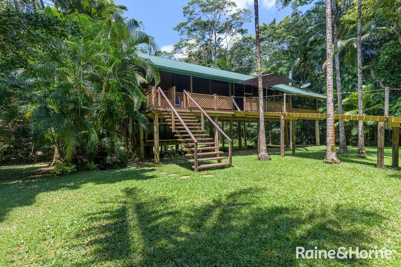 Photo - 3198 Mossman Daintree Road, Daintree QLD 4873 - Image 5