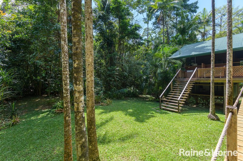 Photo - 3198 Mossman Daintree Road, Daintree QLD 4873 - Image 6