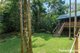 Photo - 3198 Mossman Daintree Road, Daintree QLD 4873 - Image 6