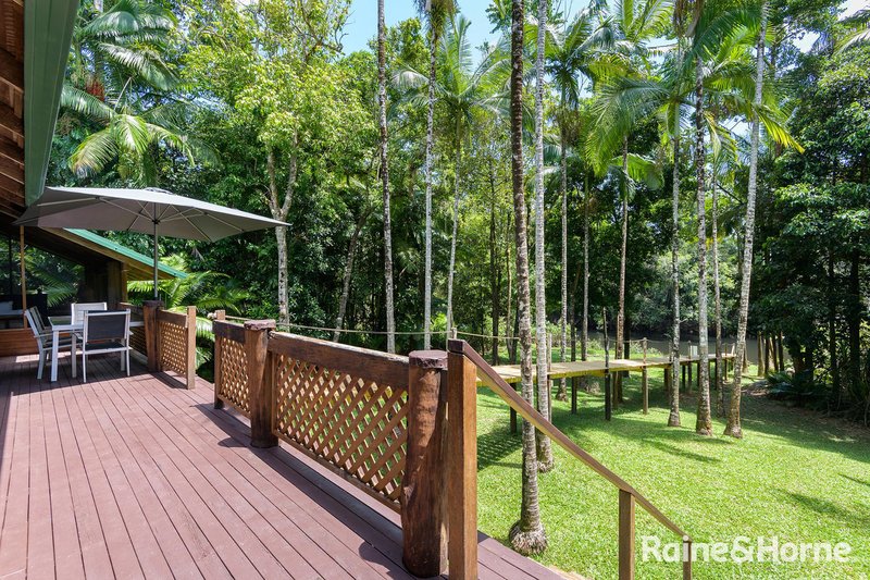 Photo - 3198 Mossman Daintree Road, Daintree QLD 4873 - Image 9