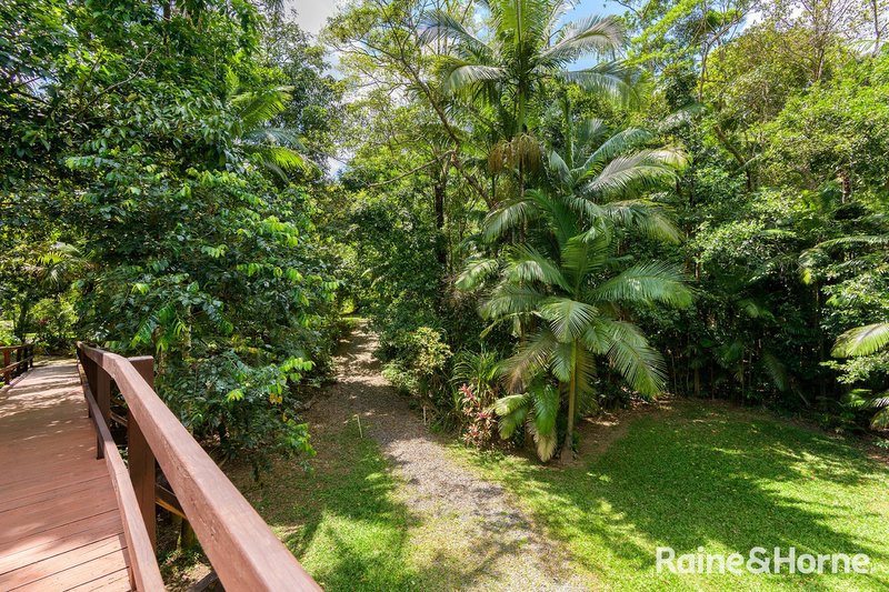 Photo - 3198 Mossman Daintree Road, Daintree QLD 4873 - Image 24