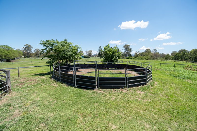 Photo - 3199 Beaudesert Boonah Road, Beaudesert QLD 4285 - Image 18