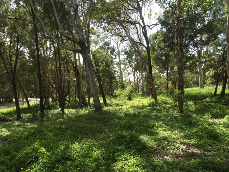 Photo - 32-34 Nunkeri Drive, Macleay Island QLD 4184 - Image 7