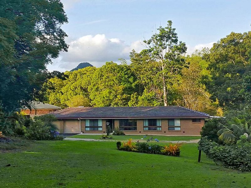 Photo - 32 Azalea Street, Mullumbimby NSW 2482 - Image