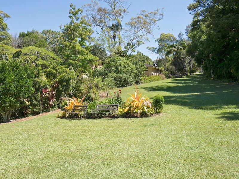 Photo - 32 Azalea Street, Mullumbimby NSW 2482 - Image 5