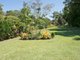 Photo - 32 Azalea Street, Mullumbimby NSW 2482 - Image 5