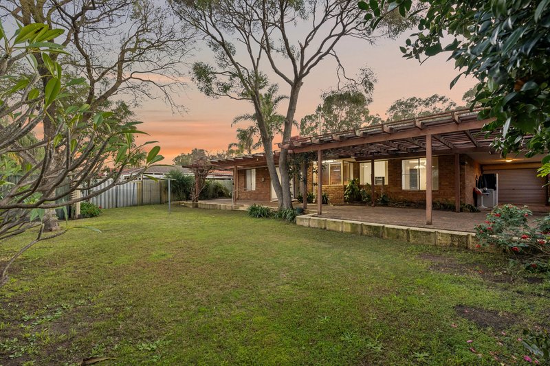 Photo - 32 Bibra Drive, Bibra Lake WA 6163 - Image 4