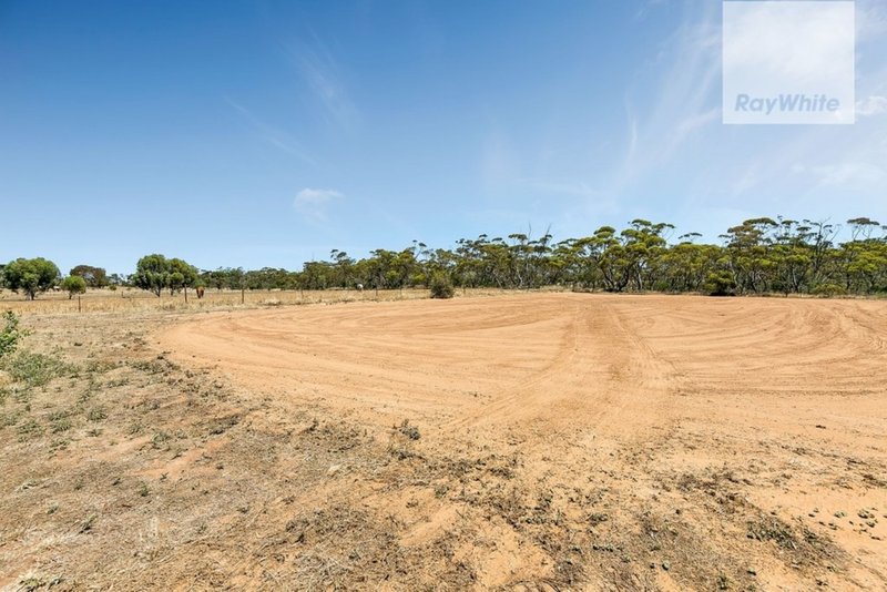 Photo - 32 Brady Road, Mallala SA 5502 - Image 18