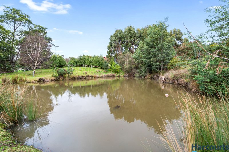 Photo - 32 Camborne Drive, Acacia Hills TAS 7306 - Image 11