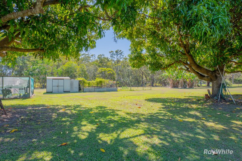 Photo - 32 Clayton Siding Road, Alloway QLD 4670 - Image 19