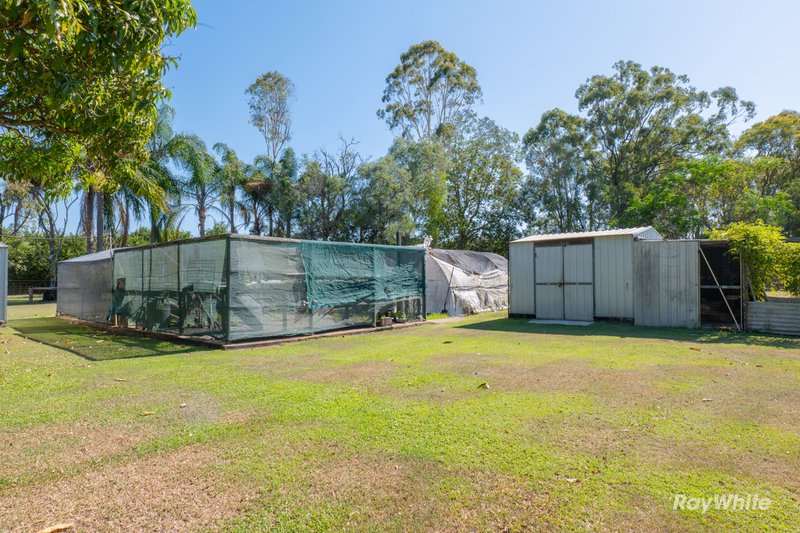 Photo - 32 Clayton Siding Road, Alloway QLD 4670 - Image 22