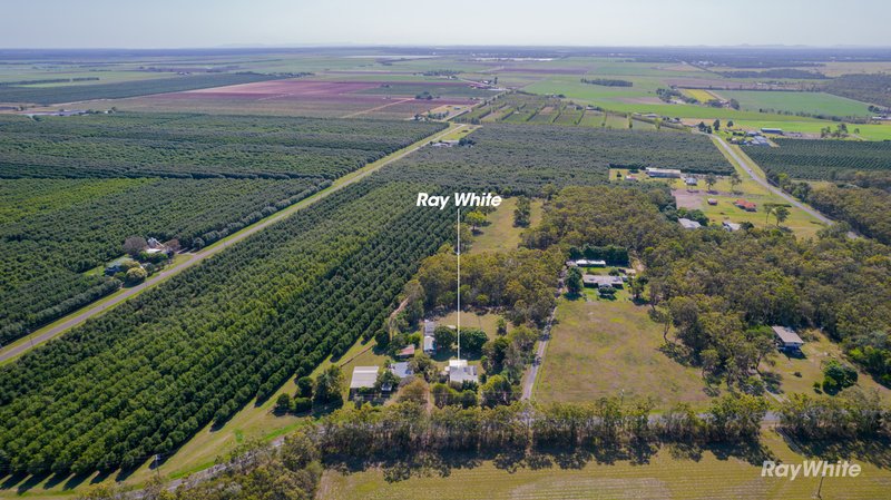 Photo - 32 Clayton Siding Road, Alloway QLD 4670 - Image 29