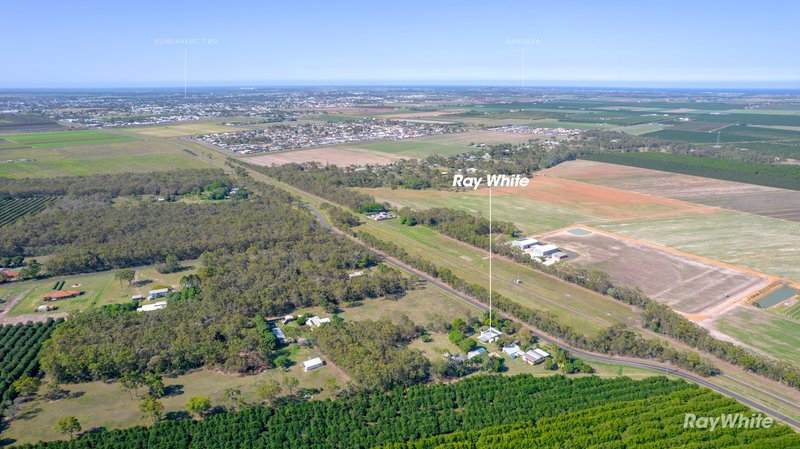 Photo - 32 Clayton Siding Road, Alloway QLD 4670 - Image 31