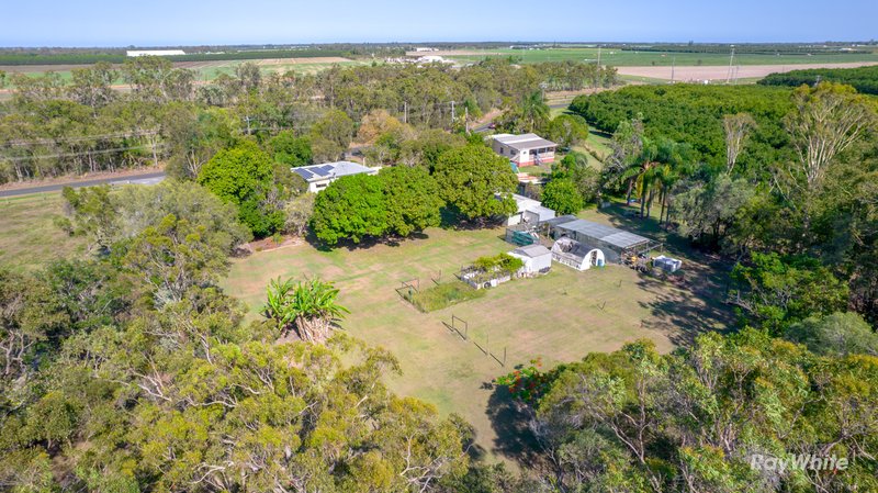 Photo - 32 Clayton Siding Road, Alloway QLD 4670 - Image 33