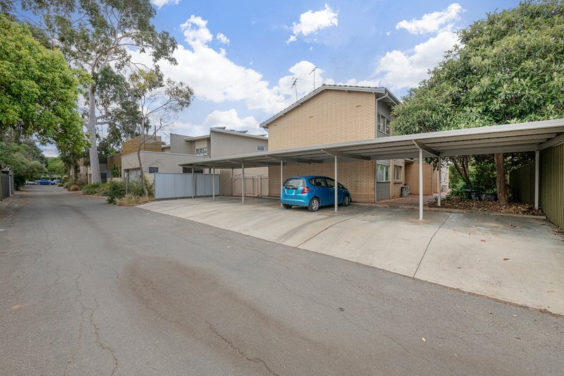 Photo - 3/2 Davenport Terrace, Wayville SA 5034 - Image 10