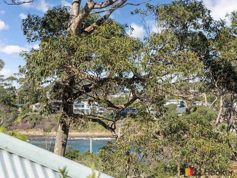 Photo - 32 Endeavour Avenue, Lilli Pilli NSW 2536 - Image 9