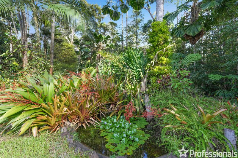 Photo - 32 Gregory Terrace, Kuranda QLD 4881 - Image 7