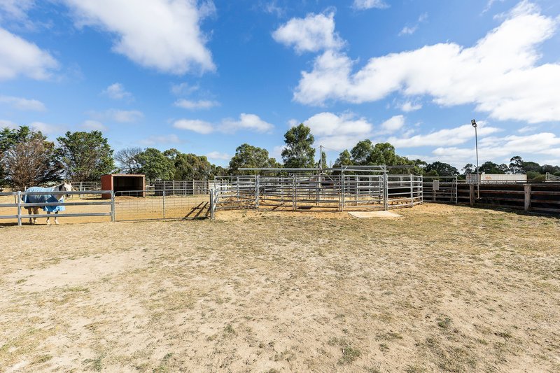 Photo - 32 Haleys Road, Ross Creek VIC 3351 - Image 22