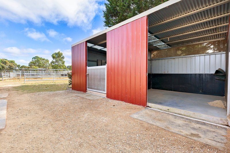 Photo - 32 Haleys Road, Ross Creek VIC 3351 - Image 28