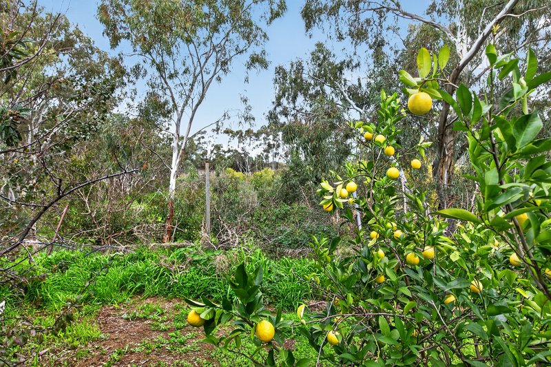 Photo - 32 Higgins Road, Buchfelde SA 5118 - Image 22