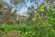 Photo - 32 Higgins Road, Buchfelde SA 5118 - Image 22